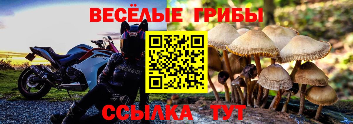Псилоцибиновые грибы мицелий  Вход с VPN  Новочеркасск 
